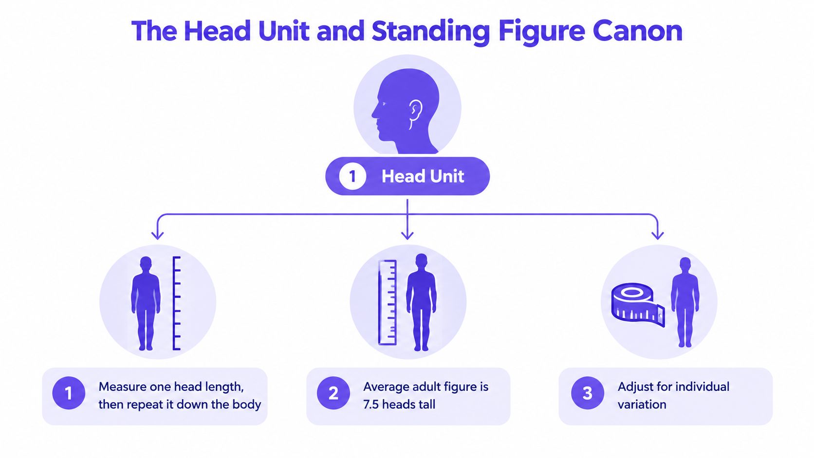 A diagram explaining the head unit method for drawing human body proportions with three numbered steps.