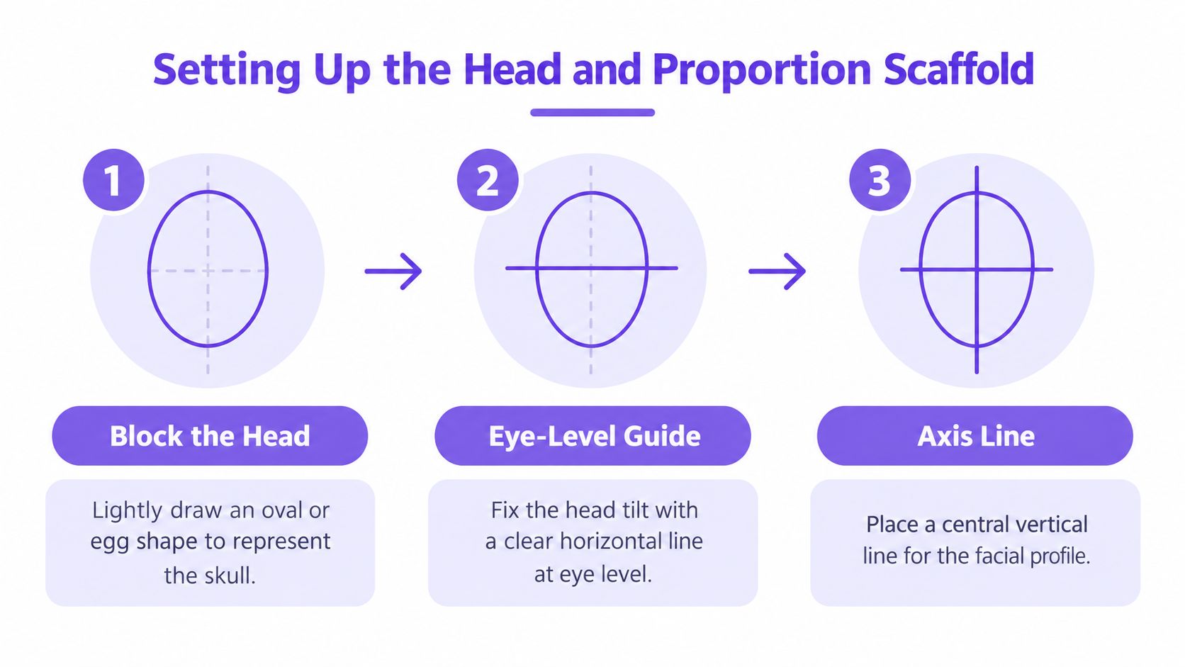 A three-step infographic illustrating how to draw the initial scaffold for a human face.